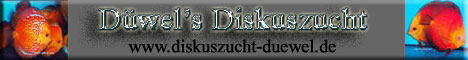 www.diskuszucht-duewel.de